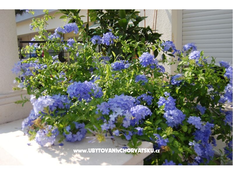  7 maslina – Ferienwohnung Rogoznica, Kroatien – Foto 15