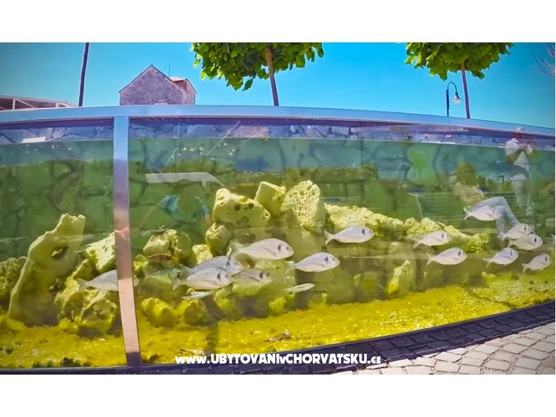 Apartment Amfora – Ferienwohnung Rogoznica, Kroatien – Foto 16