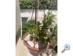 Apartma Odmor - Rogoznica Hrvaka