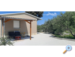 Apartment Maslinik - Rogoznica Kroatien