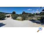 Apartma Maslinik - Rogoznica Hrvaka
