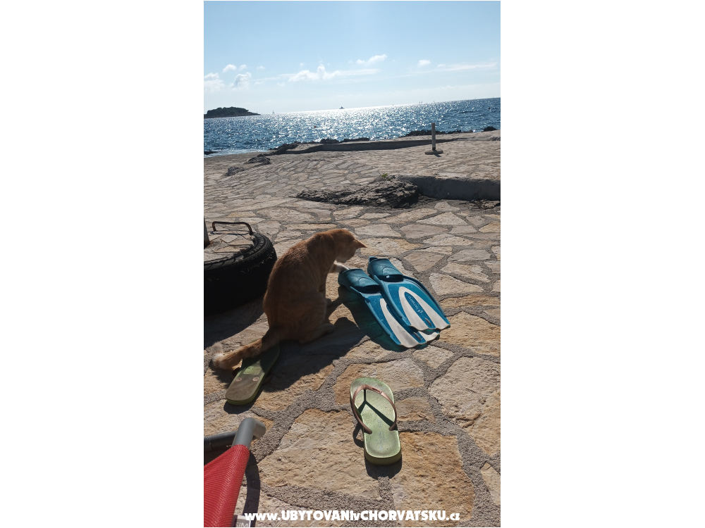 Apartmaji 4dolphins - Rogoznica Hrva�ka