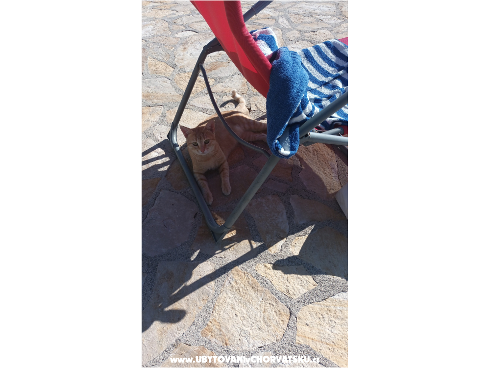 Apartmaji 4dolphins - Rogoznica Hrva�ka