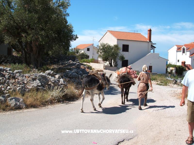 Appartements Bačić – Ferienwohnung Rogoznica, Kroatien – Foto 17