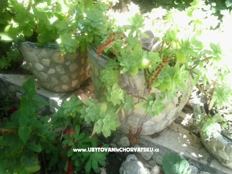 Appartements Baković – Ferienwohnung Rogoznica, Kroatien – Foto 6