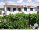 Apartmaji avrak - Rogoznica Hrvaka