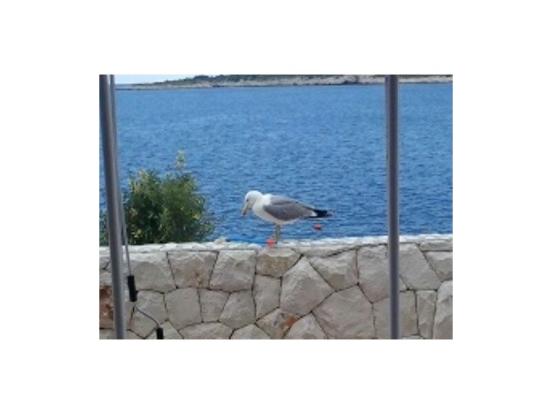 Appartements Nika – Ferienwohnung Rogoznica, Kroatien – Foto 18