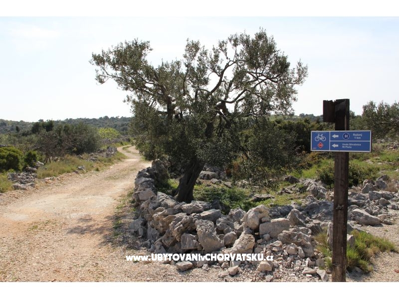 Apartmány Jelena – ubytování Rogoznica, Chorvatsko – foto 11