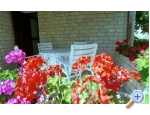 Appartements Juric - Rogoznica Kroatien