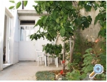 Apartmani Maslina - Rogoznica Hrvatska