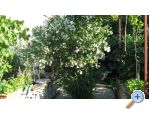 Apartmaji Miki - Rogoznica Hrvaka