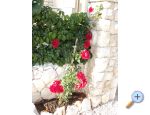 Apartmaji Neda,Kanica - Rogoznica Hrvaka
