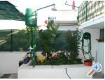 Appartements Nika-kua za odmor - Rogoznica Kroatien