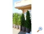 Apartmaji Pejo - Rogoznica Hrvaka