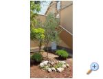 Apartmaji Pejo - Rogoznica Hrvaka