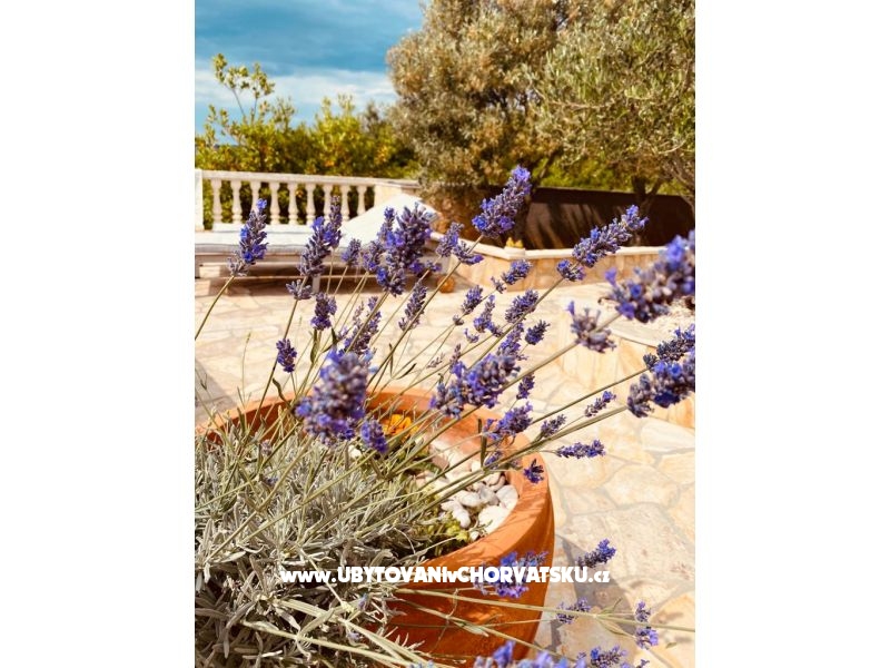 Ferienwohnungen Sunset – Ferienwohnung Rogoznica, Kroatien – Foto 4