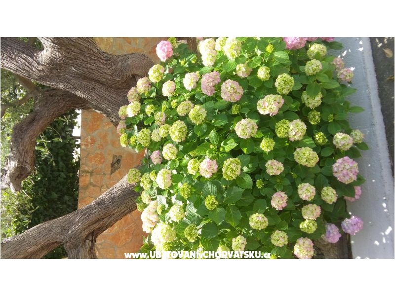 Appartements Lana – Ferienwohnung Rogoznica, Kroatien – Foto 11