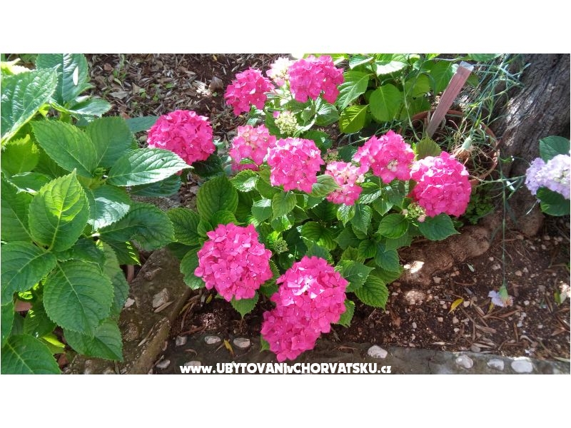 Appartements Lana – Ferienwohnung Rogoznica, Kroatien – Foto 16