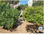 Apartments Vesna - Rogoznica Croatia