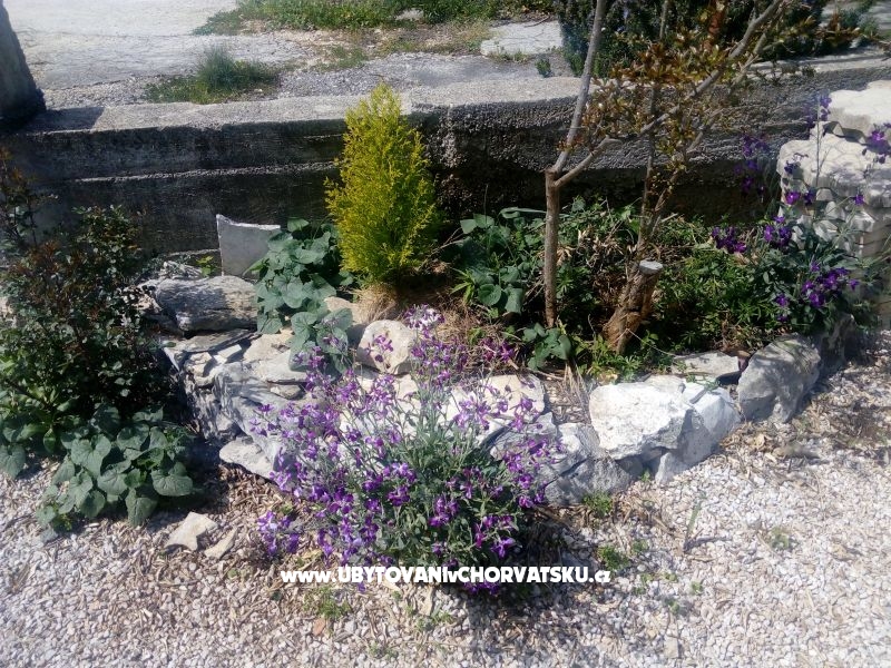 Ferienwohnungen Ercegovic – Ferienwohnung Rogoznica, Kroatien – Foto 4