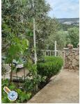 Apartmn Sunce - Rogoznica Chorvatsko