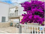 Apartmaji Kiwi - Rogoznica Hrvaka