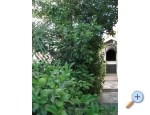 Appartements Villa Milakovic - Rogoznica Kroatien