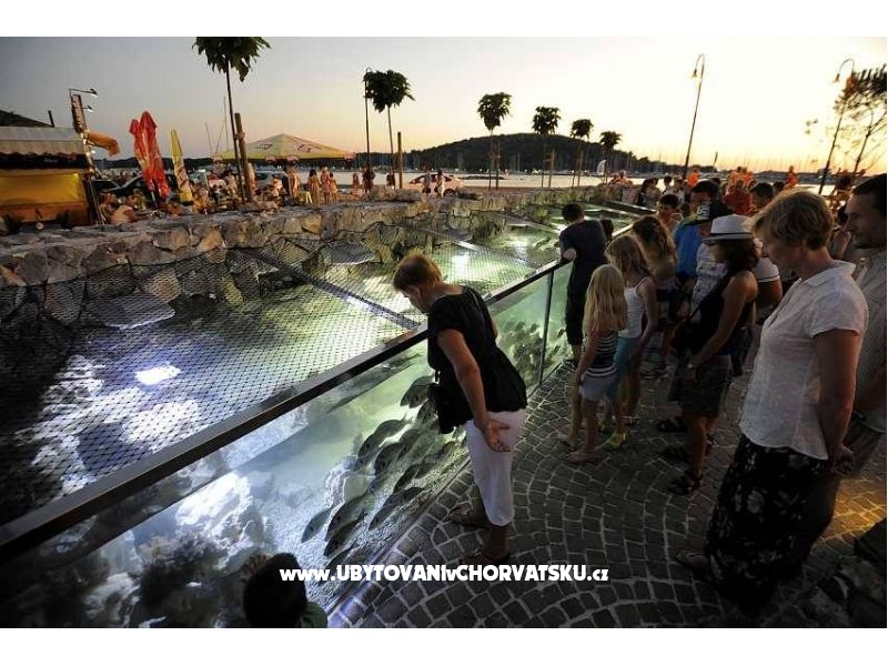 Apartmány Silvia – ubytování Rogoznica, Chorvatsko – foto 14