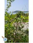 Holiday Apartmaji Lucic - Rogoznica Hrvaka