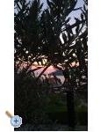 Holiday Apartmaji Lucic - Rogoznica Hrvaka