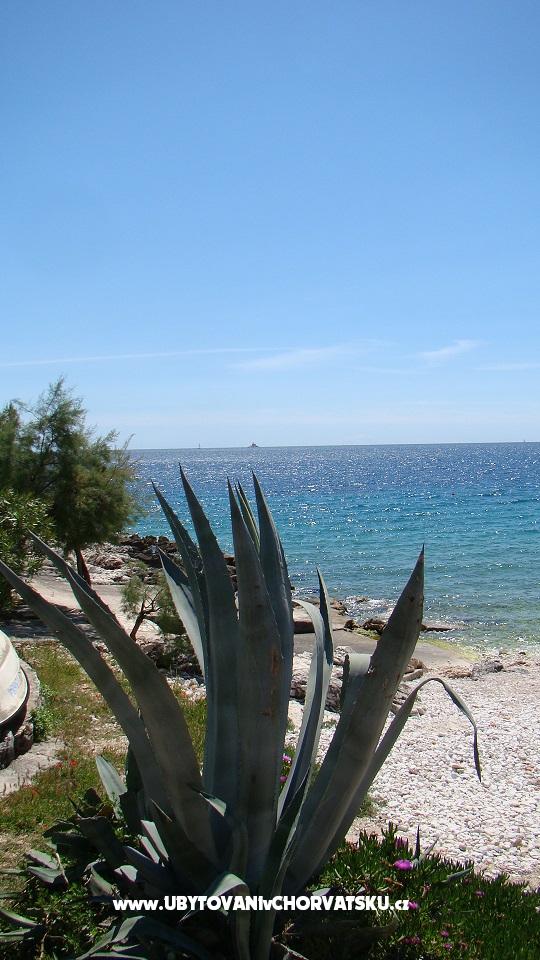 Dům Two Cypresses – ubytování Rogoznica, Chorvatsko – foto 5