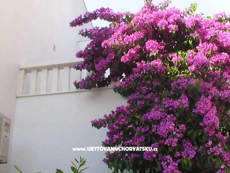 Jamnik – Ferienwohnung Rogoznica, Kroatien – Foto 18