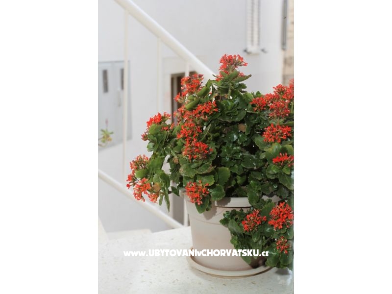 Kuća Anita – Ferienwohnung Rogoznica, Kroatien – Foto 17