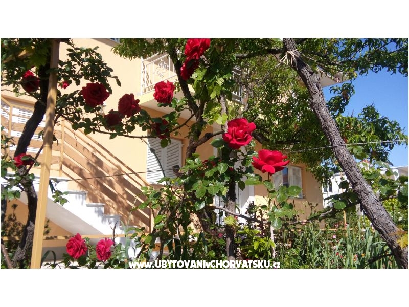 Matanovi dvori – Ferienwohnung Rogoznica, Kroatien – Foto 4