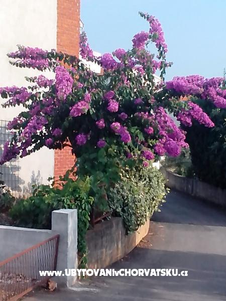 Matanovi dvori – Ferienwohnung Rogoznica, Kroatien – Foto 7