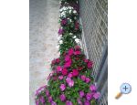 Appartements Mira Mark Raanj Rogoznic - Rogoznica Croatie