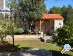 Oliva Raanj - Rogoznica Croatie