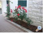 Santa Chiara Appartements - Rogoznica Kroatien