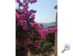 Vesna apartmani - Rogoznica Hrvaka