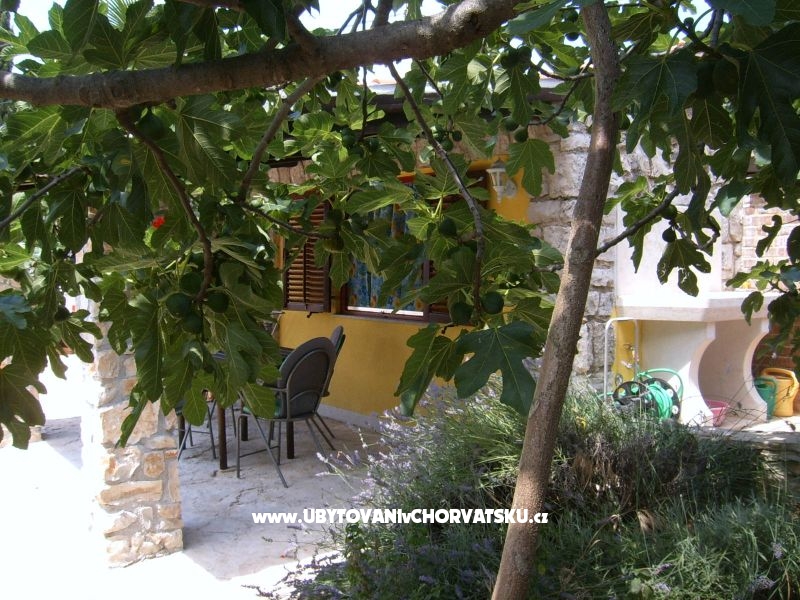 Apartmány Morena – ubytování Rovinj, Chorvatsko – foto 6