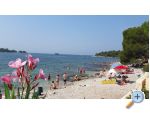 Appartements Samsa - Rovinj Croatie