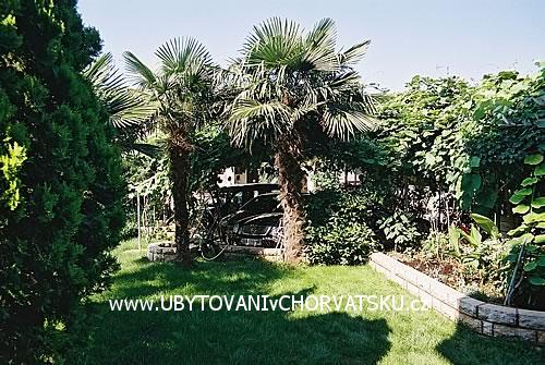 Apartmány BOS-KO – ubytování Rovinj, Chorvatsko – foto 3