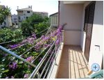 Appartements Kamelia - Rovinj Croatie