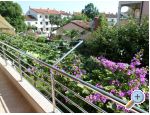 Appartements Kamelia - Rovinj Croatie