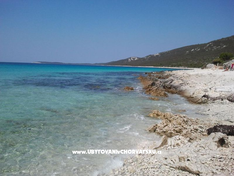 Appartements Carić – Ferienwohnung Sali – Dugi otok, Kroatien – Foto 14