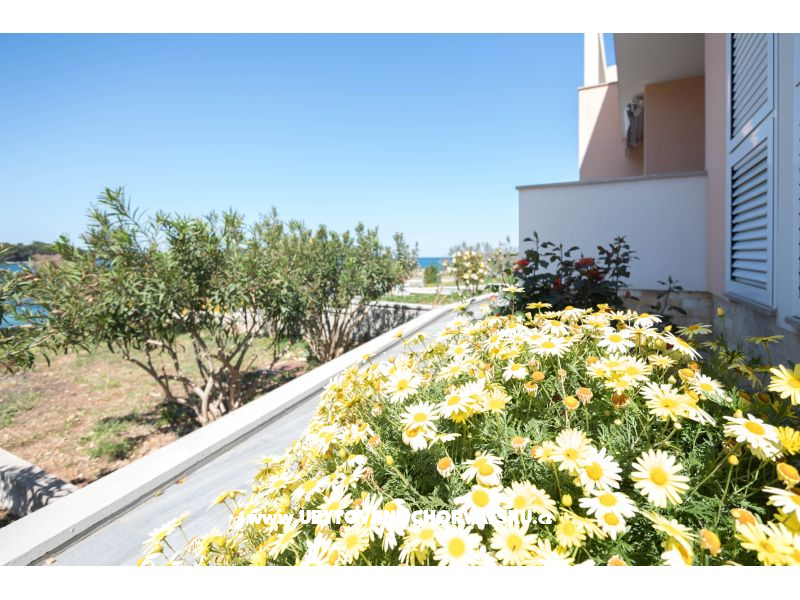 Appartements Carić – Ferienwohnung Sali – Dugi otok, Kroatien – Foto 6