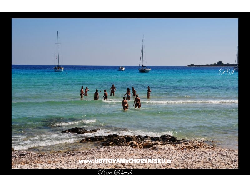 Apartmány  Zaglav Dugi otok  – ubytování Sali – Dugi otok, Chorvatsko – foto 9