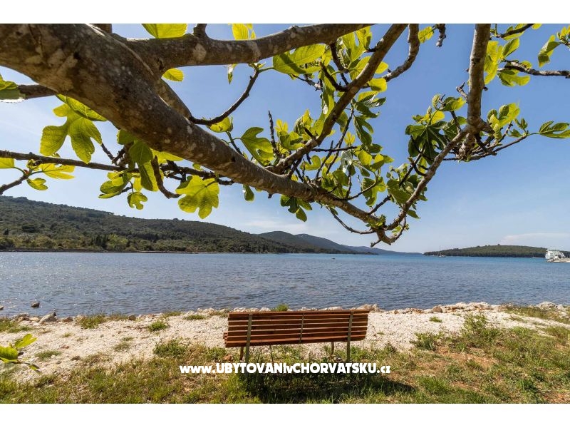 Villa Alegria – ubytování Sali – Dugi otok, Chorvatsko – foto 15