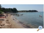 Villa Elena - Savudrija Hrvaka