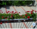 Appartements Bionda - Senj Kroatien